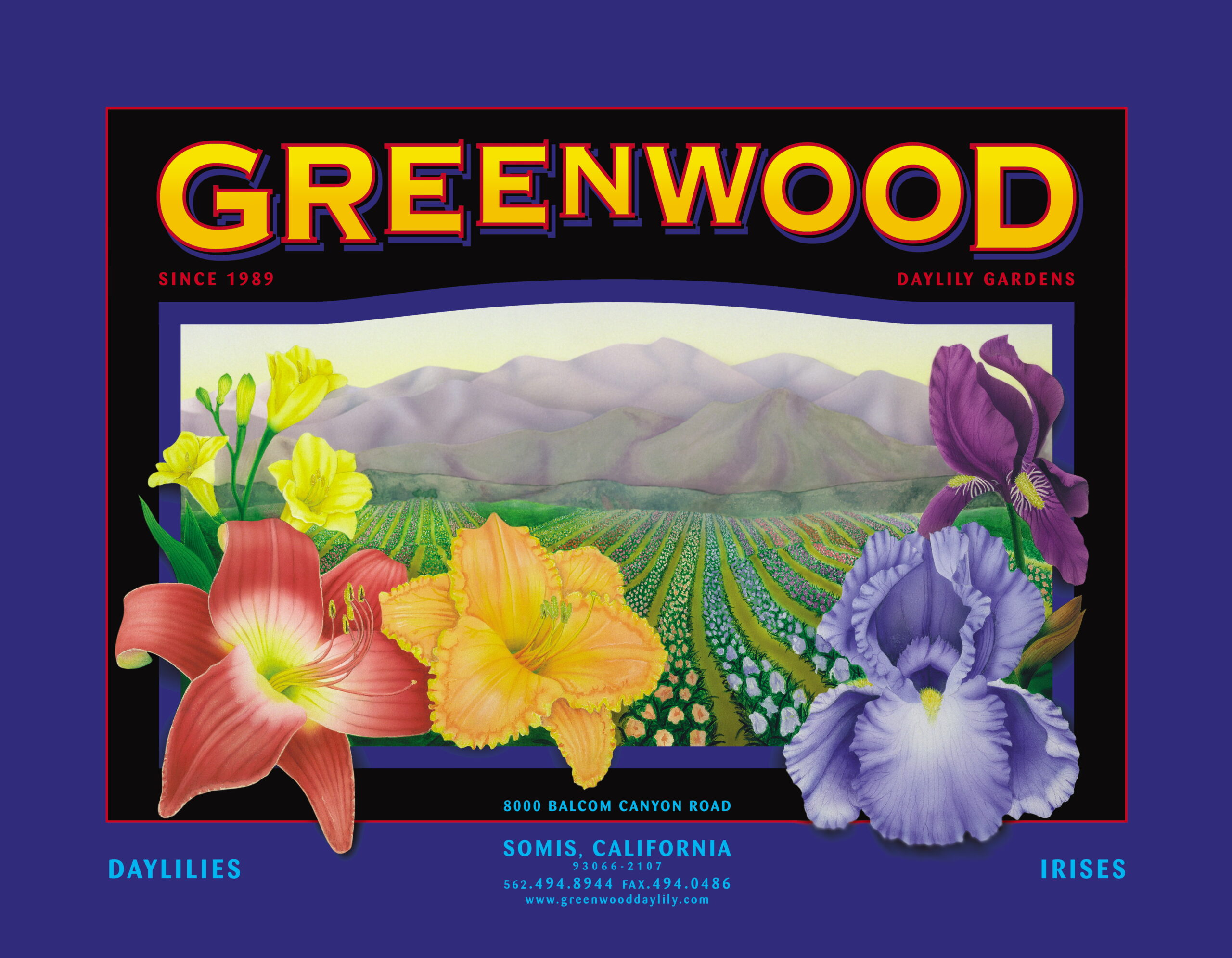 Colorful illustration of Greenwood Daylily Gardens in Somis, California, featuring vibrant daylilies and irises, with a scenic mountainous backdrop and text highlighting the garden's location and contact information.