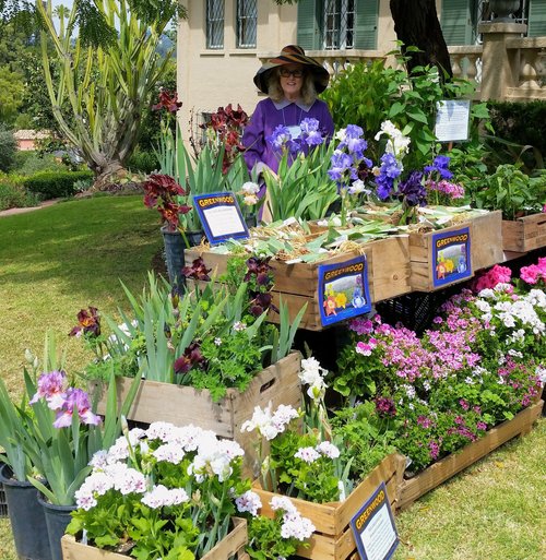 A woman wearing a large hat stands behind a vibrant flower display featuring various blooming plants, including irises and geraniums, in wooden crates at a garden event. The background shows a sunny garden setting with a house and greenery.