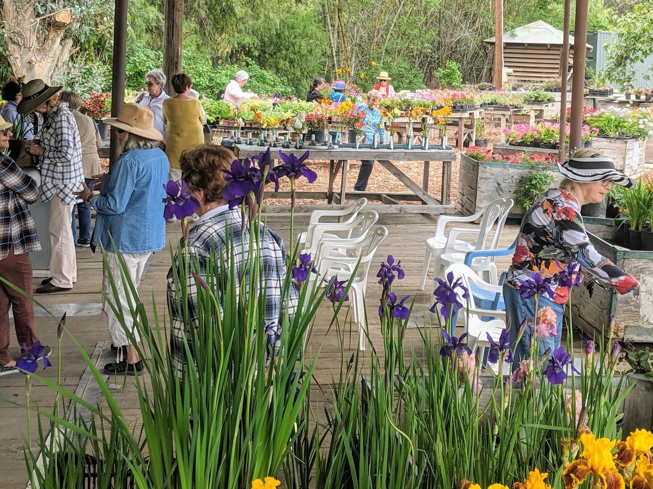 A vibrant flower market scene featuring people browsing and purchasing plants, with colorful flowers and greenery in the background. The foreground showcases blooming irises and a diverse group of individuals engaged in gardening activities, all under a shaded structure.