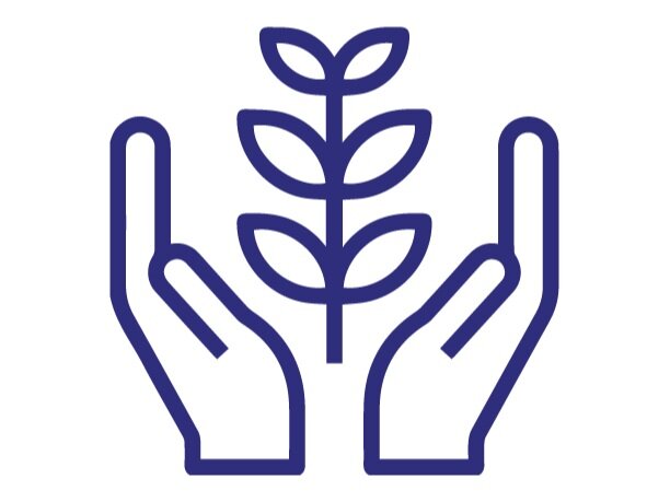 Two hands gently holding a green plant sprouting from the ground, symbolizing growth, sustainability, and environmental care.