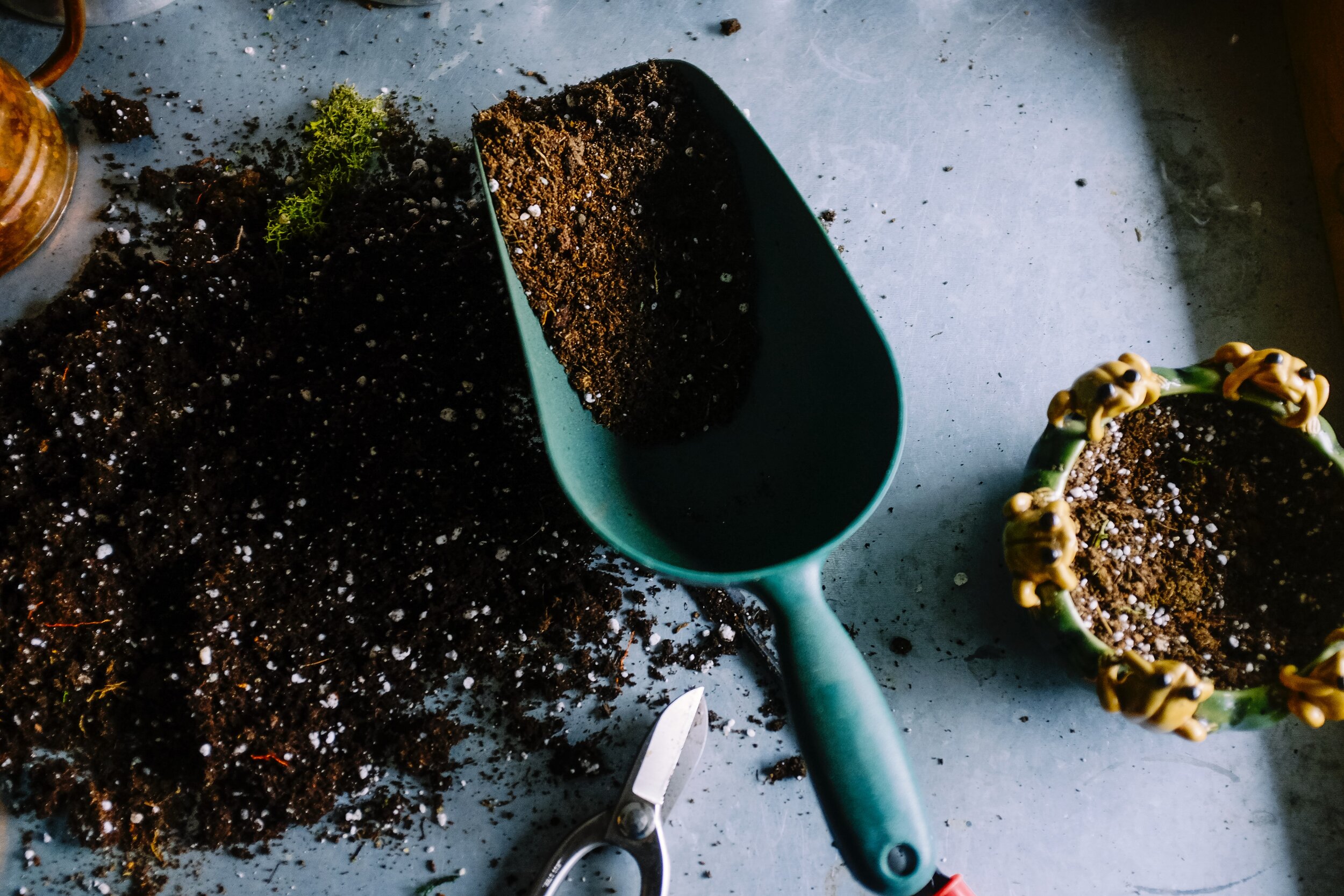 Gardening tools and soil on a workspace, featuring a green scoop filled with potting mix, scattered soil, a pair of pruning shears, and a decorative frog-shaped pot ready for planting.